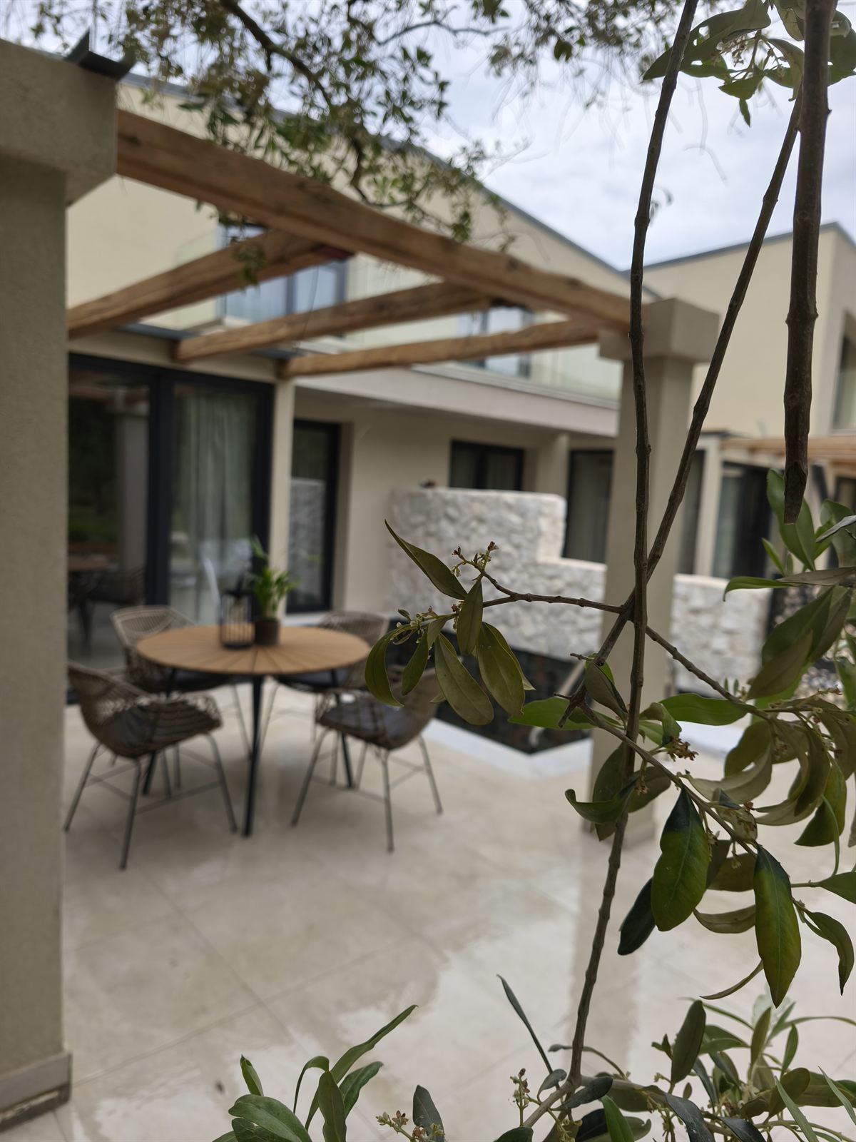 Elaida thassos 2025 02